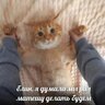 bybik023