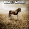 lausy555