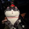 qterman