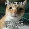 Vasyenya