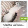 Nya