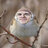 gaml4