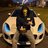 LocalPlayer
